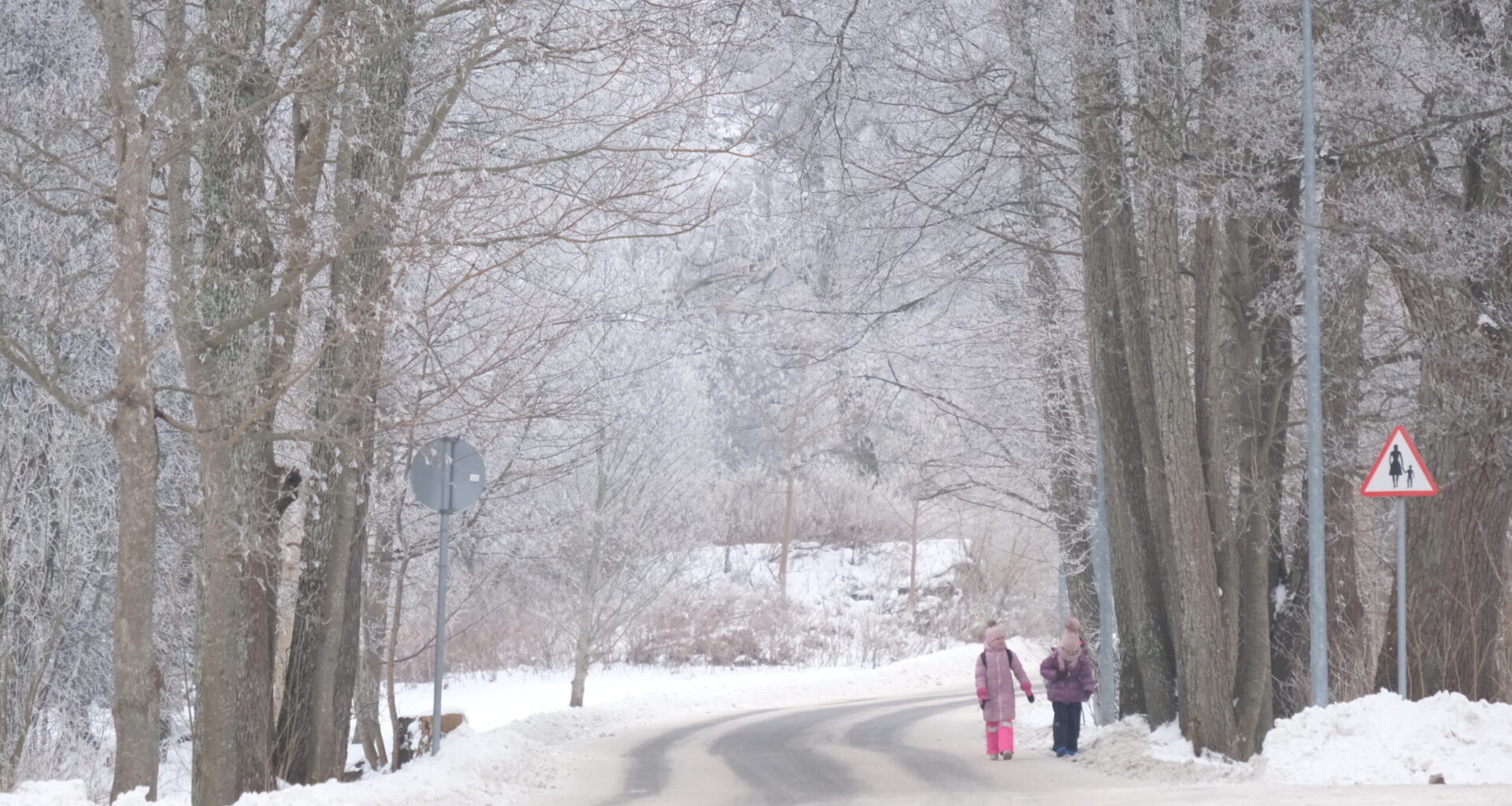 KRAADID KUKKUSID | Jaanuar oli Hiiumaal külm ja kuiv