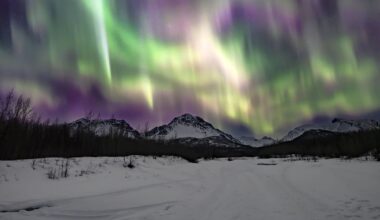 Soome võrgujuht: ilma sügisese investeeringuta oleksid elektrihinnad veelgi kallimad