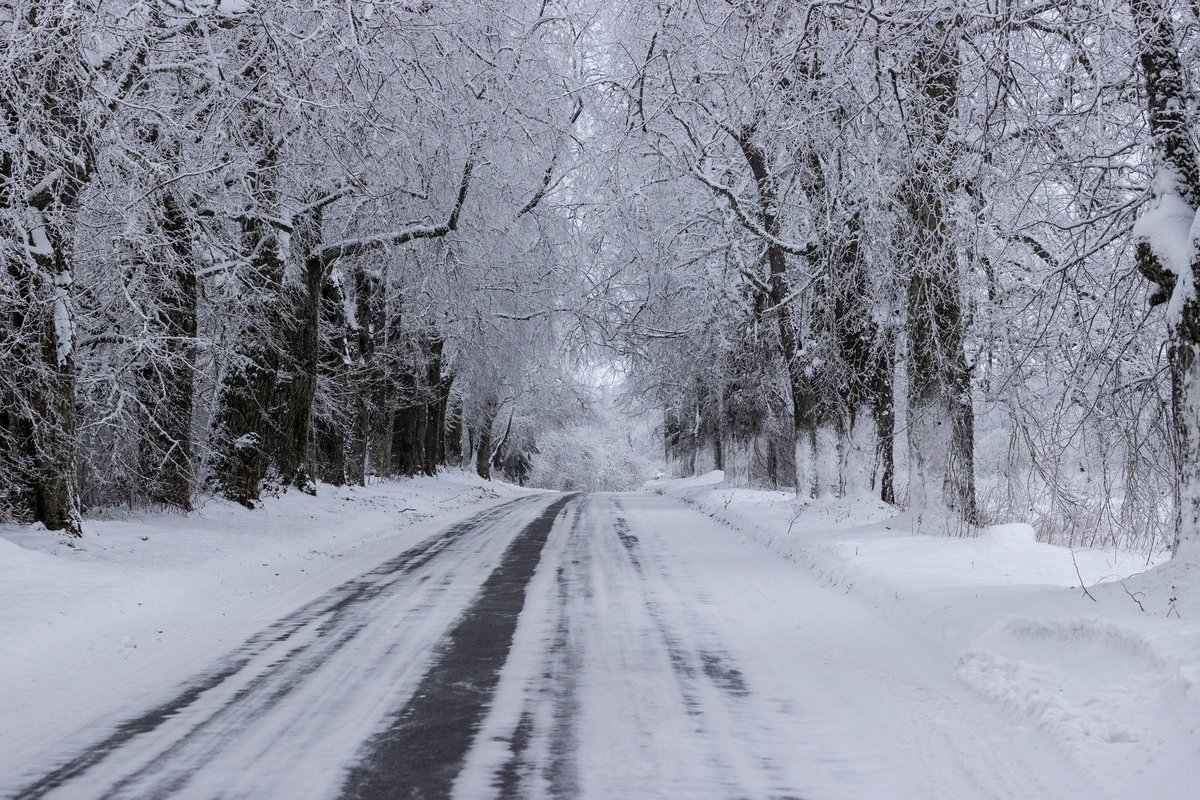 KUUPROGNOOS | Veebruar toob krõbedat külma, kuu viimases veerandis on oodata muutusi - Maaleht