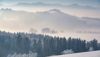 mida toob meile selle talve viimane kuu?