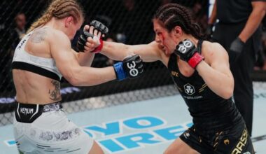 Estilos De Pelea Grasso vs. Silva: Boxeo vs. Patadas