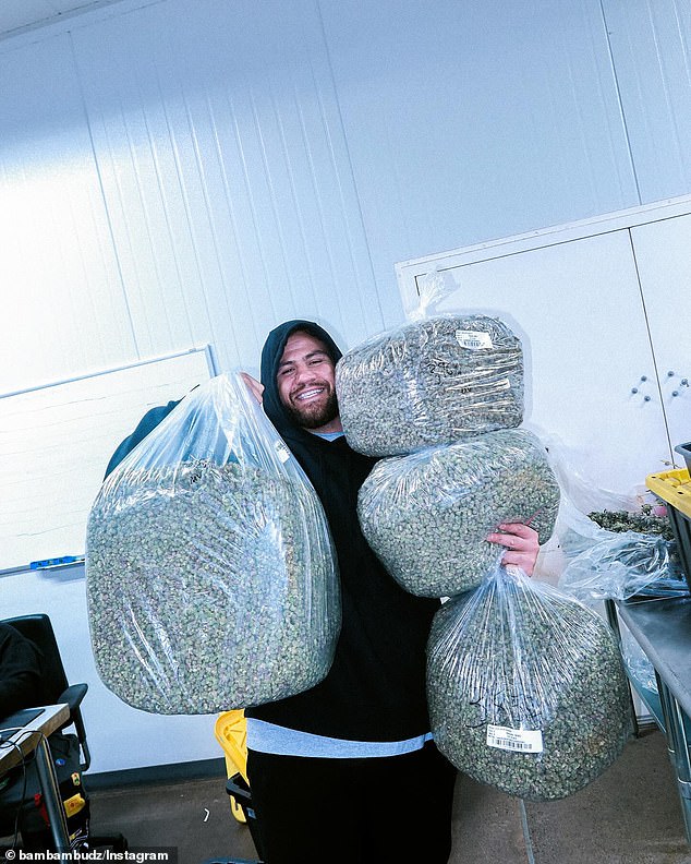 Bambambudz analiza la expansión de los Estados Unidos y las farmacias potenciales en el mercado cambiante de Tailandia