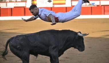 Toreo a cuerpo limpio