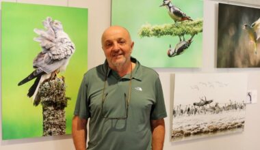 «Estas fotos requieren planificación y paciencia»