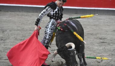 Tres orejas cortadas que salvan la tarde
