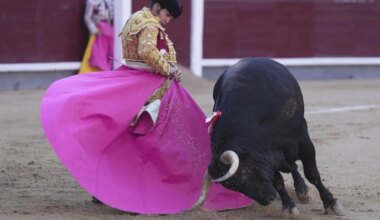 Los carteles de la Feria de Otoño, a punto con Morante de la Puebla al frente y sin Roca Rey - El Mundo