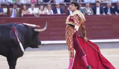 Roca Rey piensa que todos somos tontos: ¿por qué tiene cada vez peor imagen?