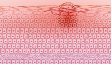 Engañar a las células para combatir el melanoma