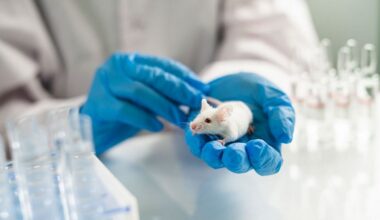 La anulación de una proteína detiene el párkinson en ratones