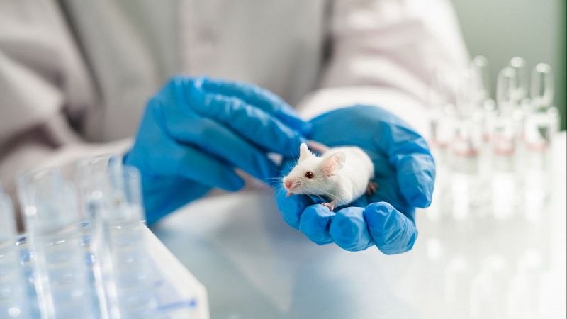 La anulación de una proteína detiene el párkinson en ratones