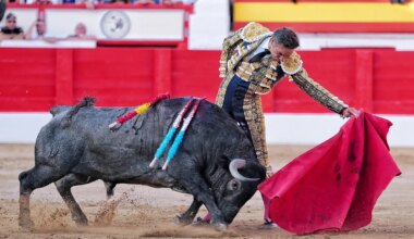Un repaso a Roca Rey: El Cid cabalga de nuevo sobre su magisterio y la excelencia de Victorino en Santander - El Mundo