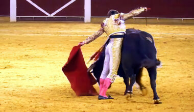 Toros para todos | La espectacular faena de Borja Jiménez se lleva nuestro Orobroy