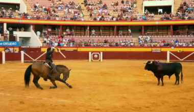 Toros para todos | Diego Ventura, rozando la perfección a caballo