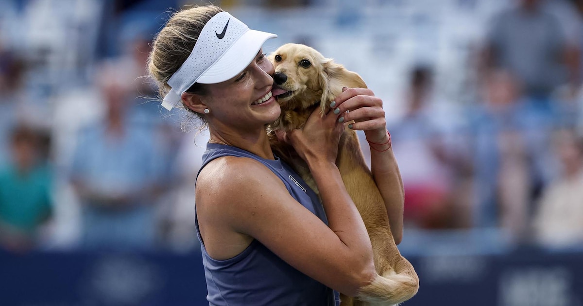 La tierna escena entre una famosa tenista y su perra en pleno court que cautiva al mundo del deporte: “Esta es mi bebé”