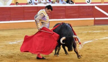 Pablo Aguado, El Payo y Talavante triunfan en Tudela con temple y naturalidad