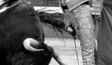 La plaza de toros de Pontevedra cumple 125 años de historia y 50 en manos de la familia Lozano: allí donde Antoñete cortó el último rabo - El Mundo