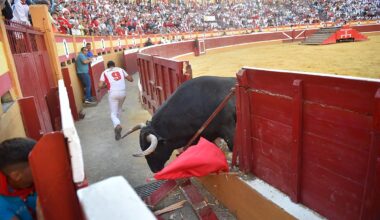Recortadores y Arriazu clausuran la Feria Taurina de Tudela 2025 con gran espectáculo