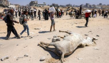 El enviado de Trump irá el viernes a Gaza para inspeccionar la distribución de la ayuda