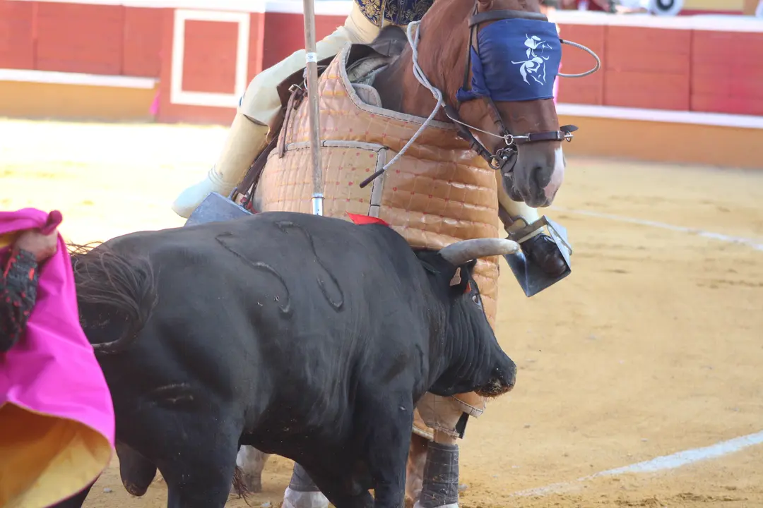 Novillada con picadores en Tudela día 25 2025 17