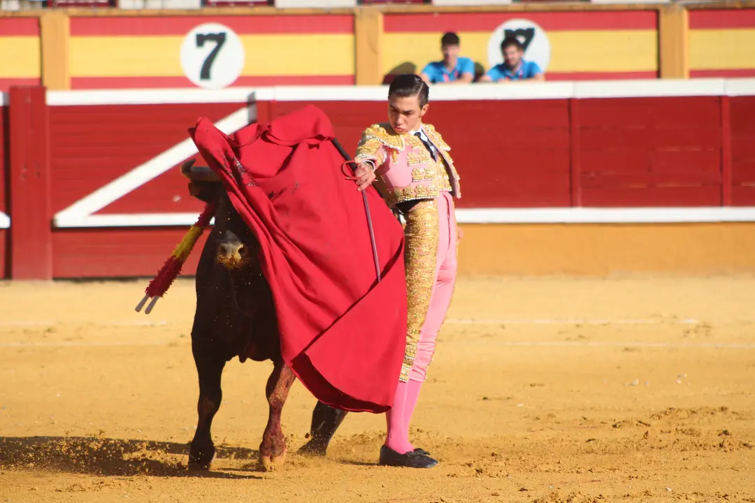 Novillada con picadores en Tudela día 25 2025 19