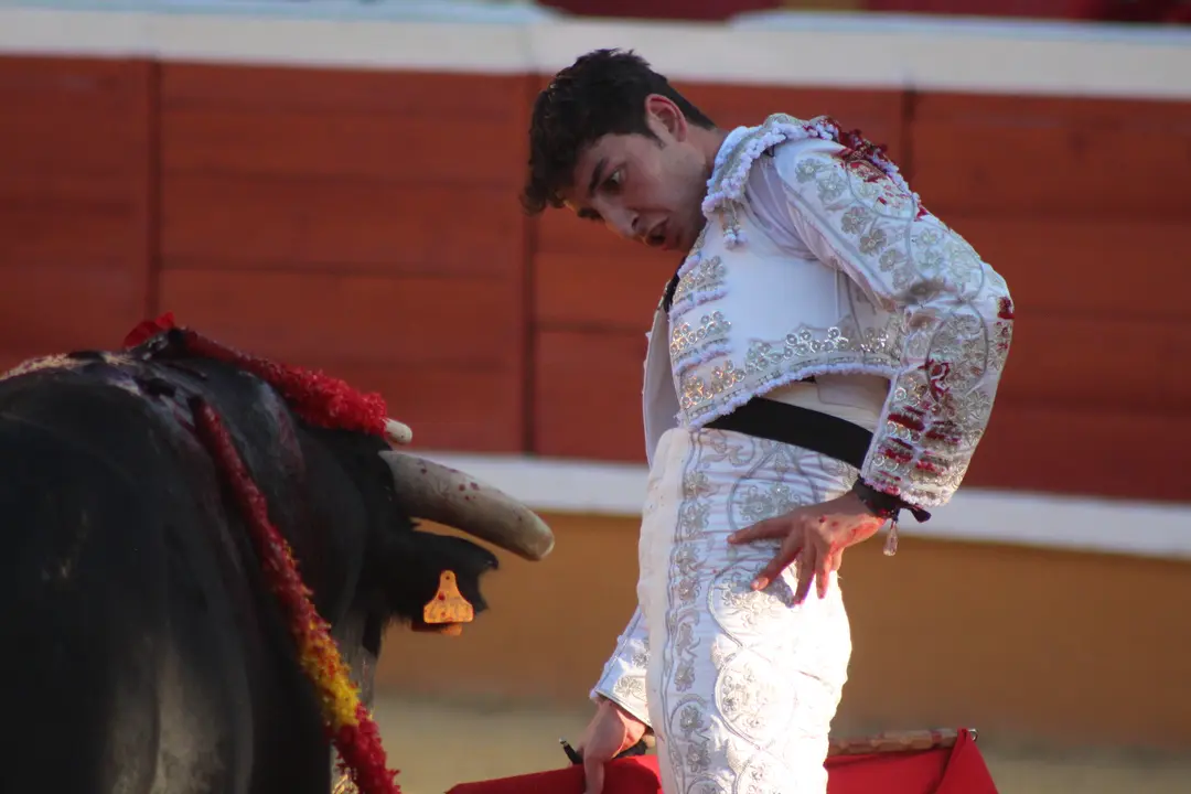 Novillada con picadores en Tudela día 25 2025 21