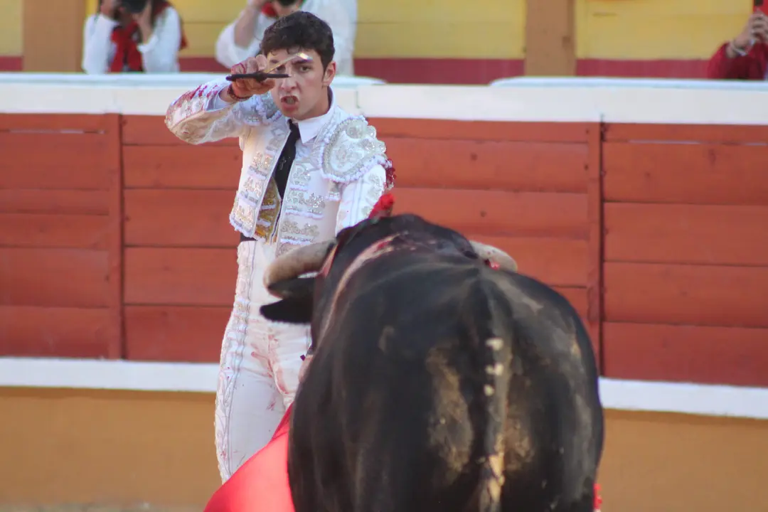Novillada con picadores en Tudela día 25 2025 22