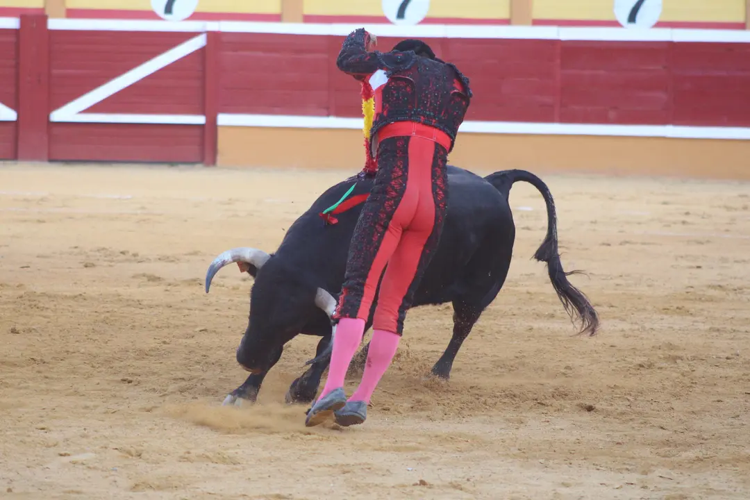 Novillada con picadores en Tudela día 25 2025 29