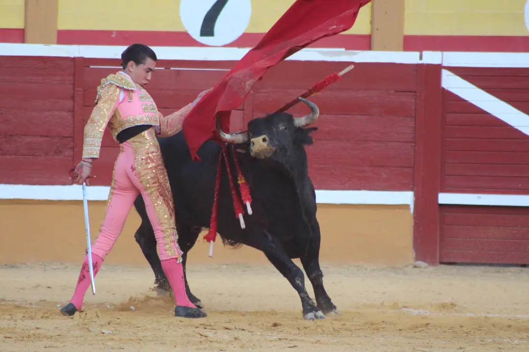 Novillada con picadores en Tudela día 25 2025 31