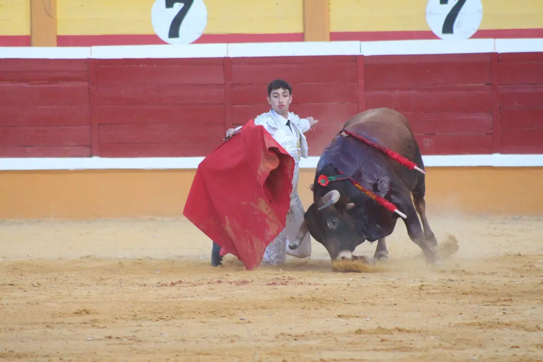 Novillada con picadores en Tudela día 25 2025 33