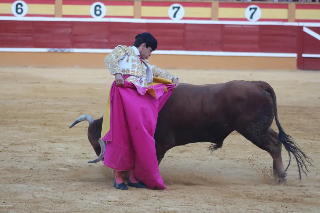 Novillada con picadores en Tudela día 25 2025 35