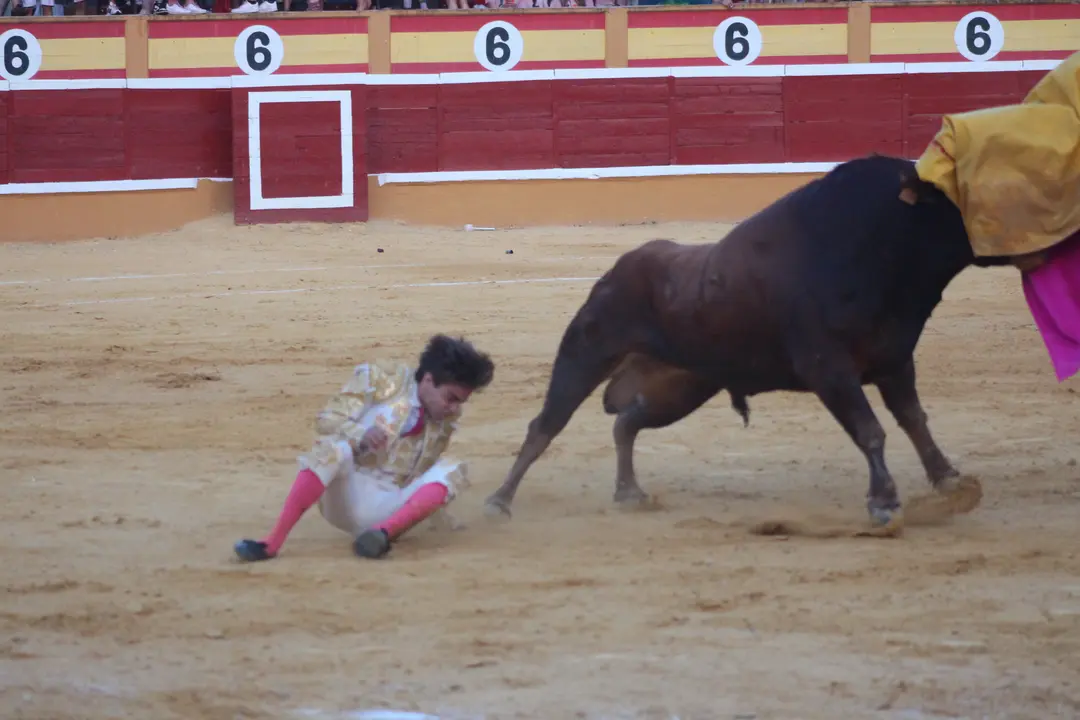 Novillada con picadores en Tudela día 25 2025 36