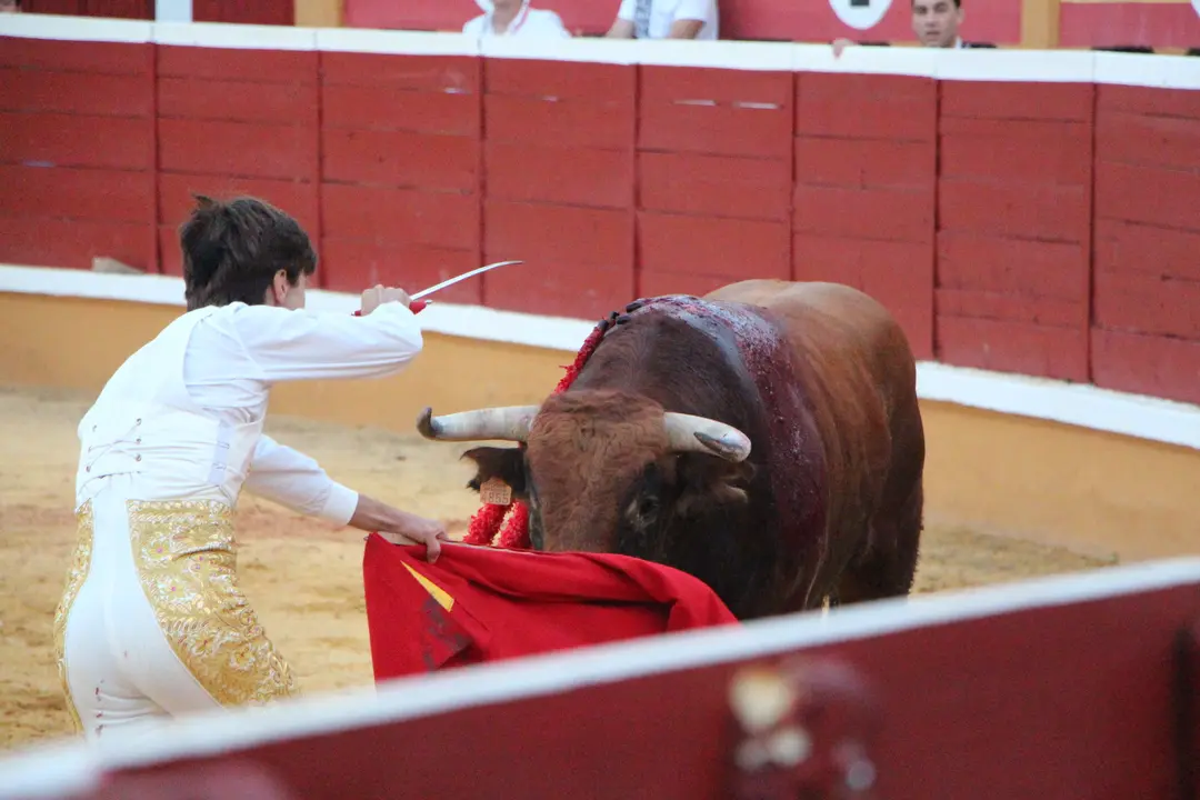 Novillada con picadores en Tudela día 25 2025 39