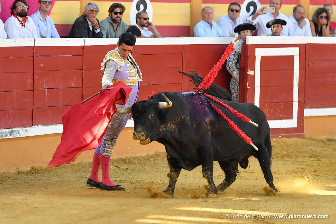 Corrida de toros en Tudela día 26 9