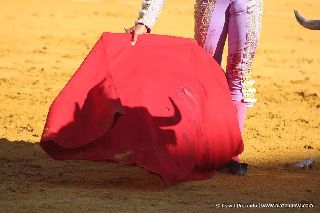 Corrida de toros en Tudela día 26 12