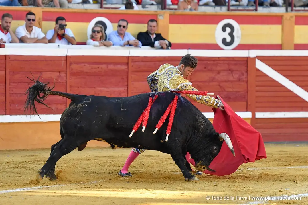 Corrida de toros en Tudela día 26 16
