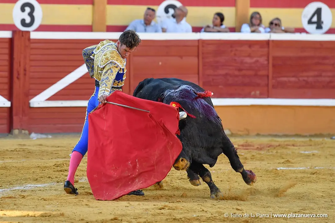 Corrida de toros en Tudela día 26 18