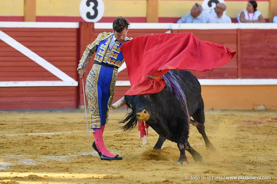 Corrida de toros en Tudela día 26 19