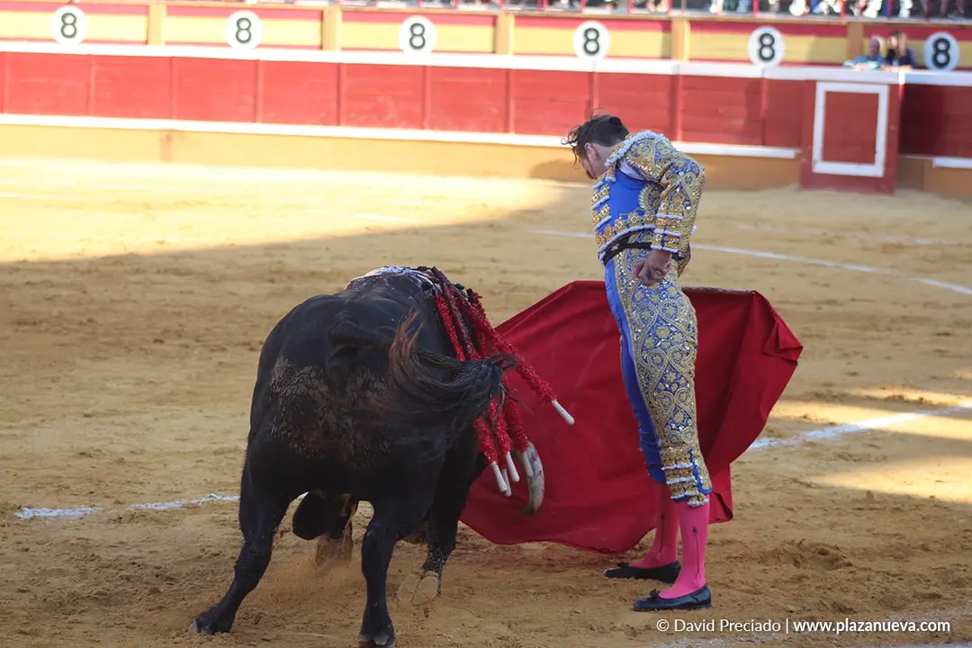 Corrida de toros en Tudela día 26 24