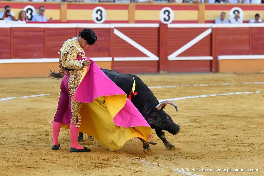 Corrida de toros en Tudela día 26 27