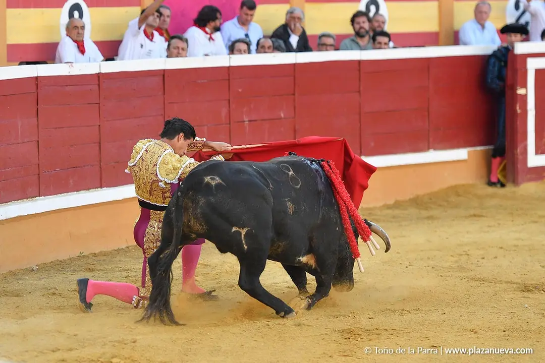 Corrida de toros en Tudela día 26 29