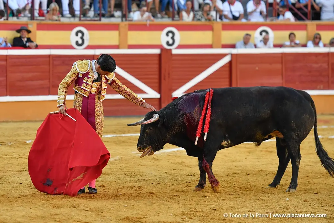Corrida de toros en Tudela día 26 31