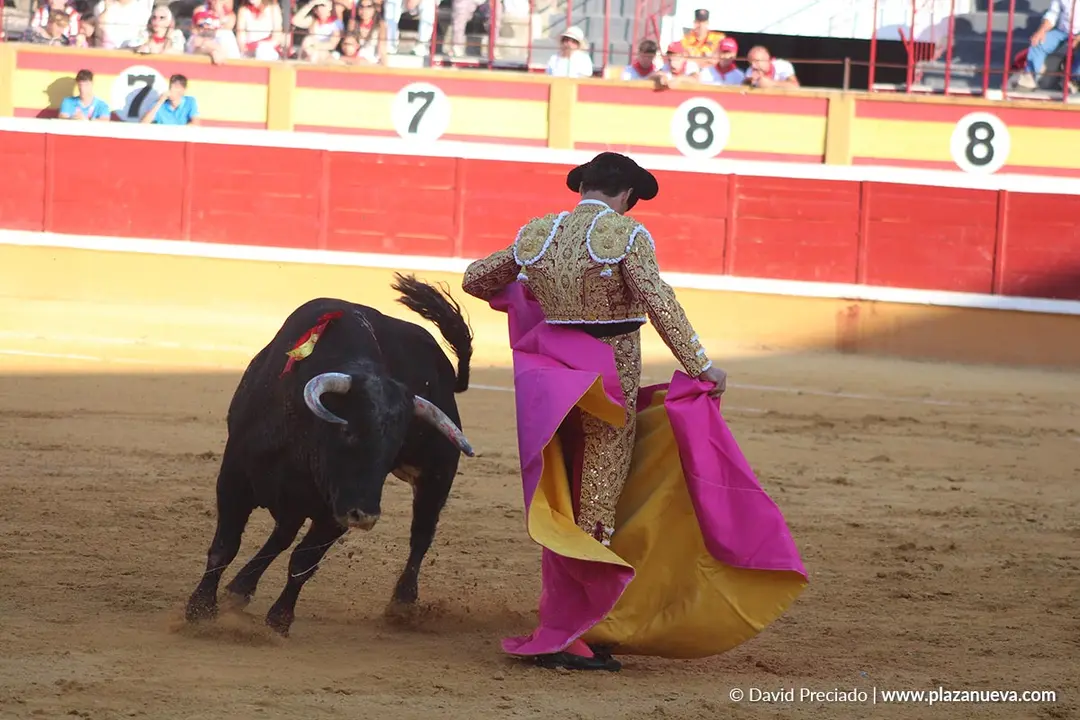 Corrida de toros en Tudela día 26 38
