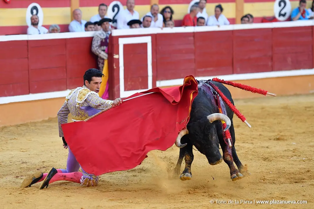 Corrida de toros en Tudela día 26 46