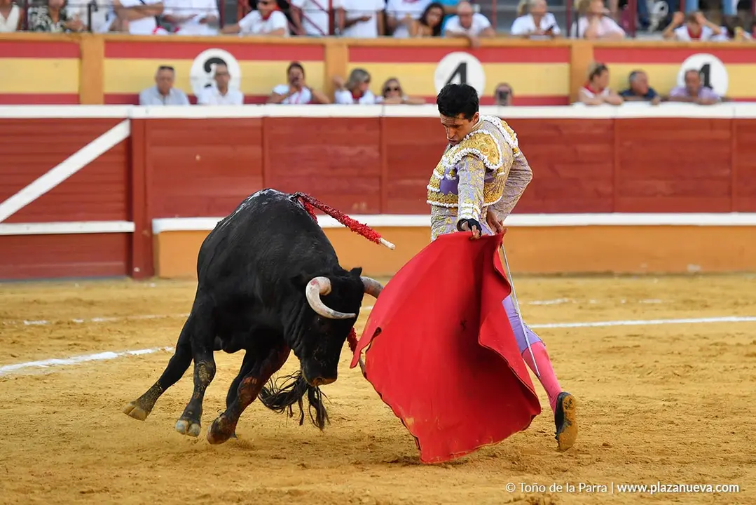 Corrida de toros en Tudela día 26 48