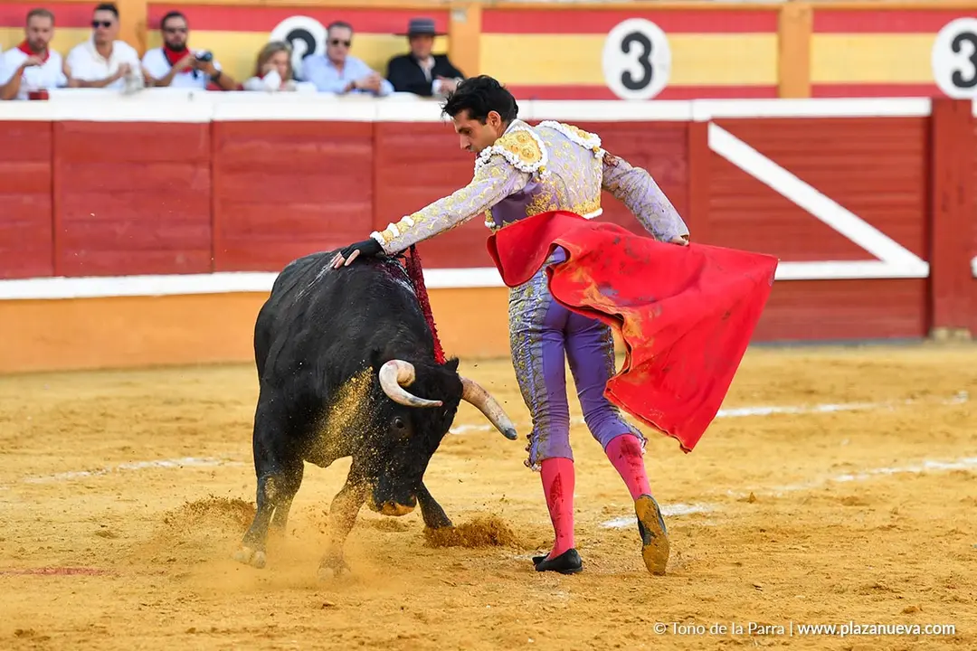 Corrida de toros en Tudela día 26 50