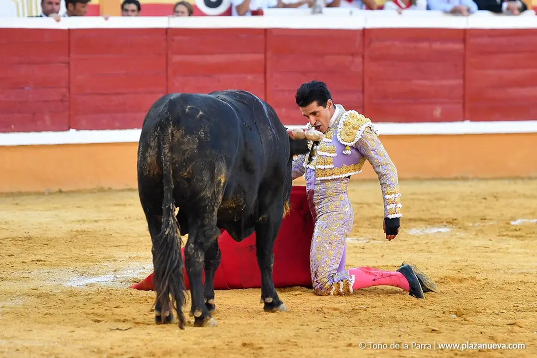 Corrida de toros en Tudela día 26 52