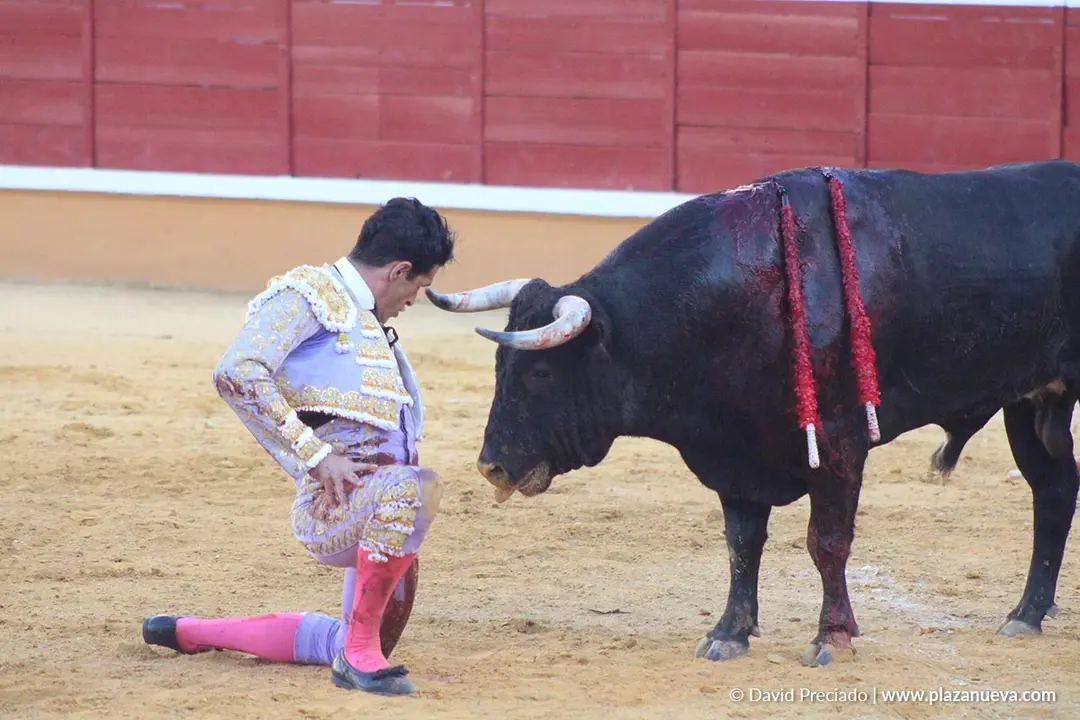 Corrida de toros en Tudela día 26 60