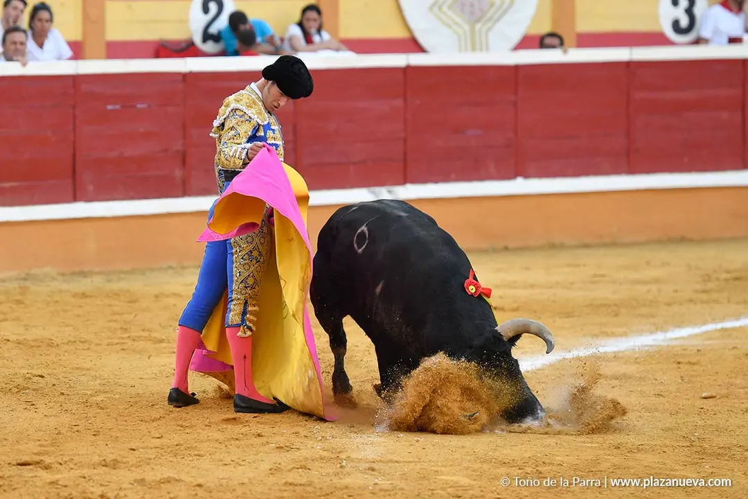 Corrida de toros en Tudela día 26 64