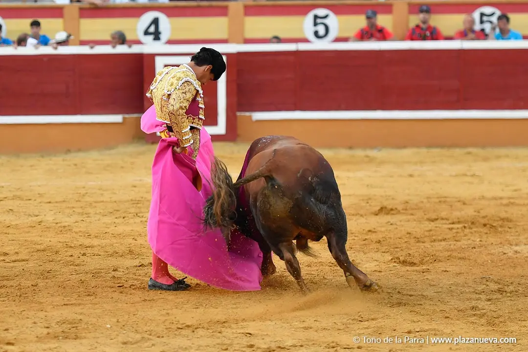Corrida de toros en Tudela día 26 67