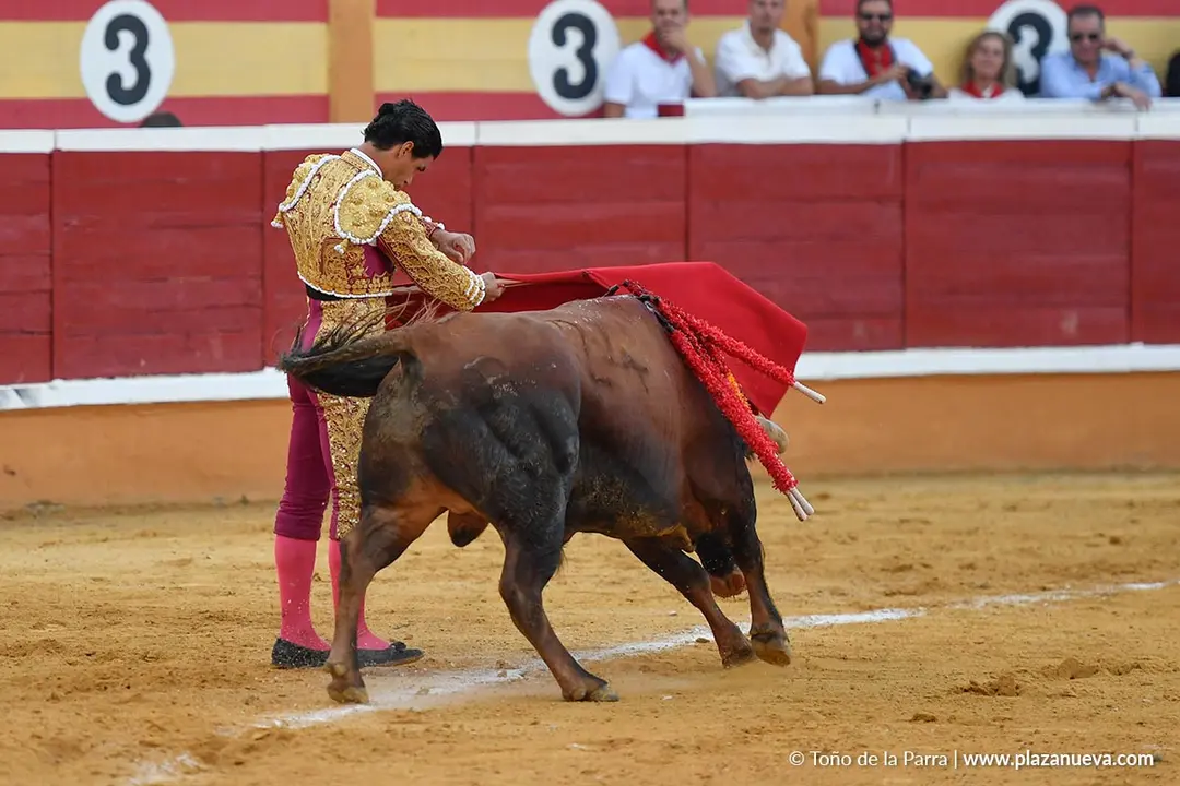 Corrida de toros en Tudela día 26 69